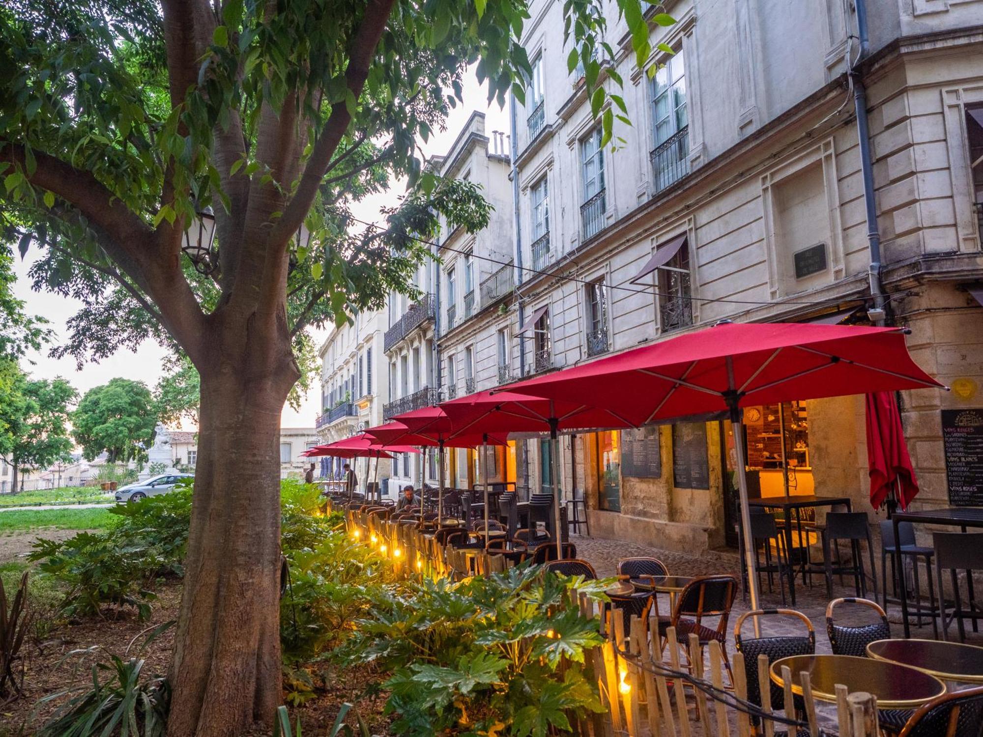 Apartamento Le Platane De La Canourgue Montpellier
